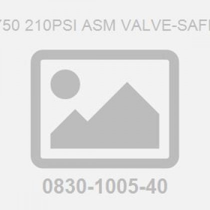 G .750 210Psi Asm Valve-Safety